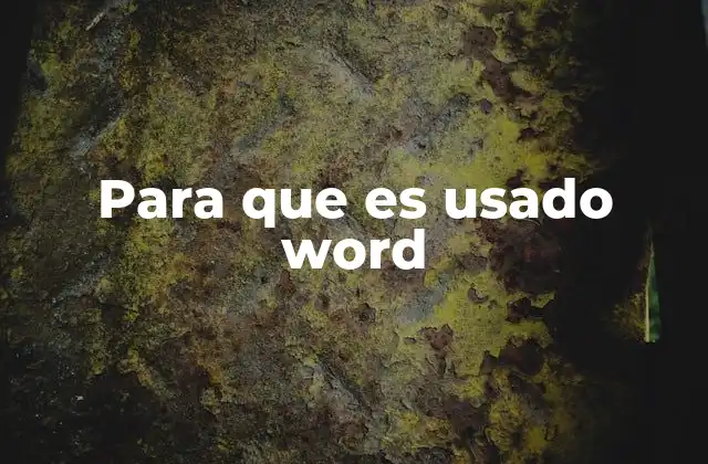 Para que es Usado Word