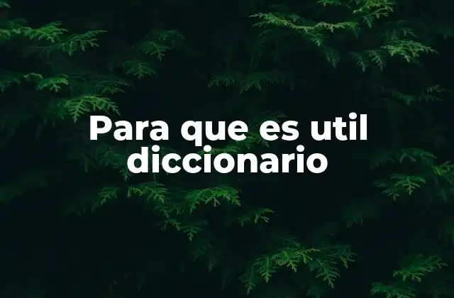 Para que es Util Diccionario