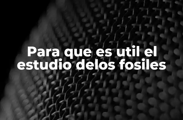 Para que es Util el Estudio Delos Fosiles 2 Descubriendo el pasado a través de las huellas del tiempo