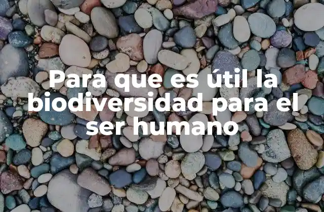 Para que es Útil la Biodiversidad para el Ser Humano