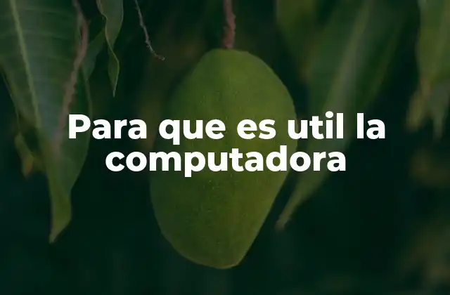 Para que es Util la Computadora