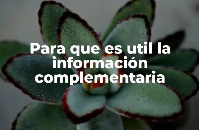 Para que es Util la Información Complementaria