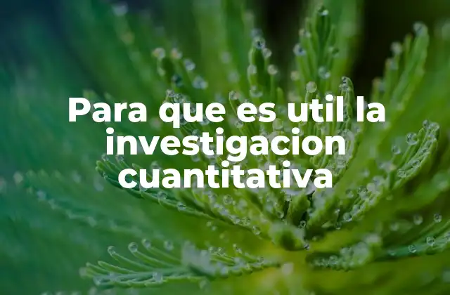 Para que es Util la Investigacion Cuantitativa