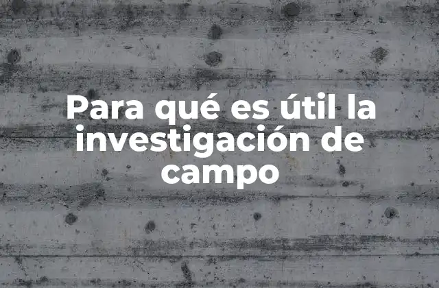 Para Qué es Útil la Investigación de Campo