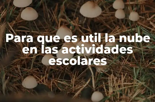 Para que es Util la Nube en las Actividades Escolares