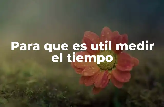 Para que es Util Medir el Tiempo 2 La importancia del orden temporal en la vida humana