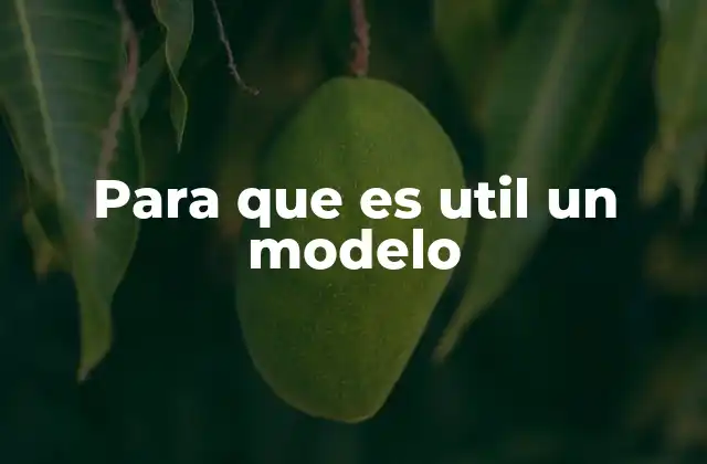 Para que es Util un Modelo