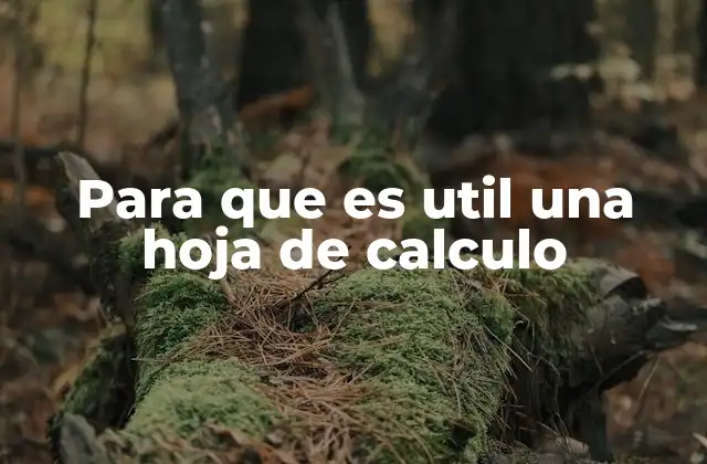 Para que es Util una Hoja de Calculo