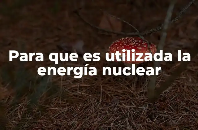 Para que es Utilizada la Energía Nuclear