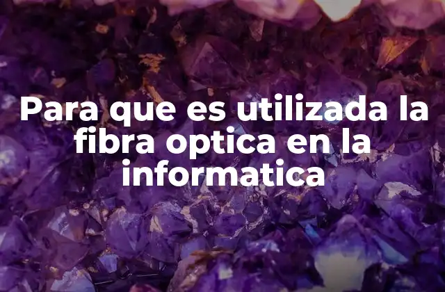 Para que es Utilizada la Fibra Optica en la Informatica