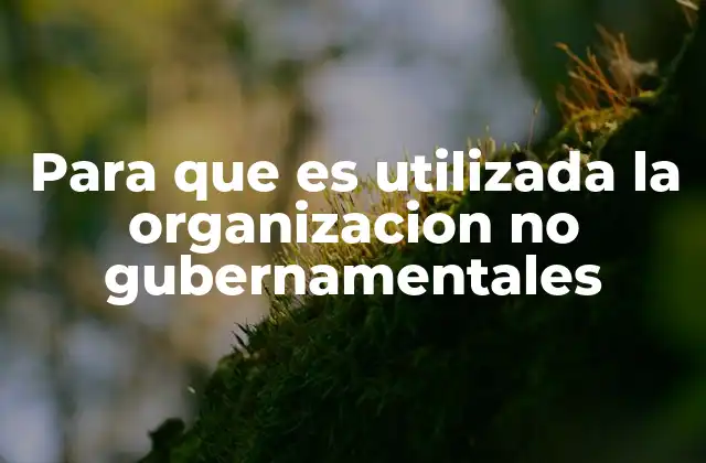 Para que es Utilizada la Organizacion No Gubernamentales