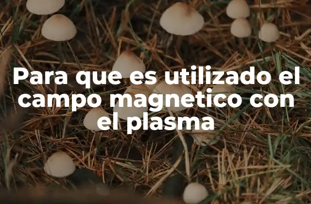 El papel del campo magnético en la física de plasmas