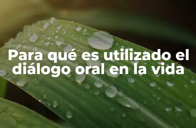 Para Qué es Utilizado el Diálogo Oral en la Vida