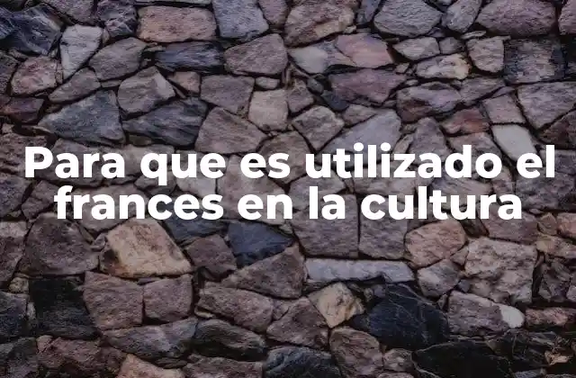 Para que es Utilizado el Frances en la Cultura