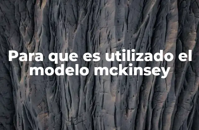 Para que es Utilizado el Modelo Mckinsey