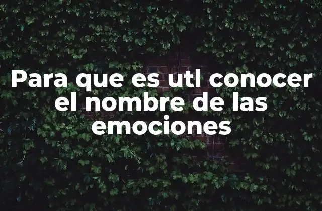 Para que es Utl Conocer el Nombre de las Emociones