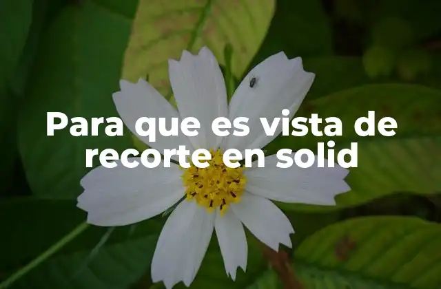 Uso de la vista de recorte para optimizar diseños