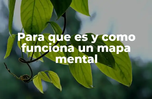 Para que es y como Funciona un Mapa Mental