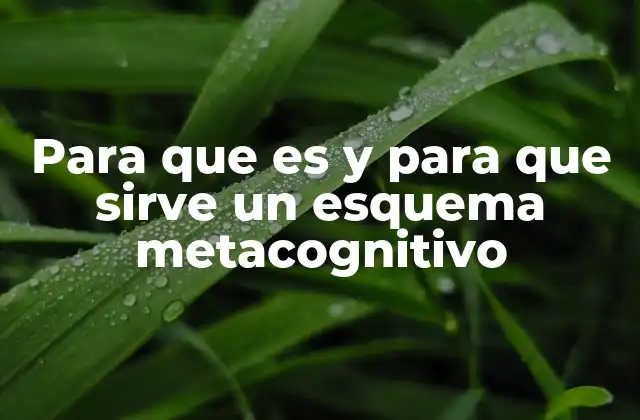 Para que es y para que Sirve un Esquema Metacognitivo