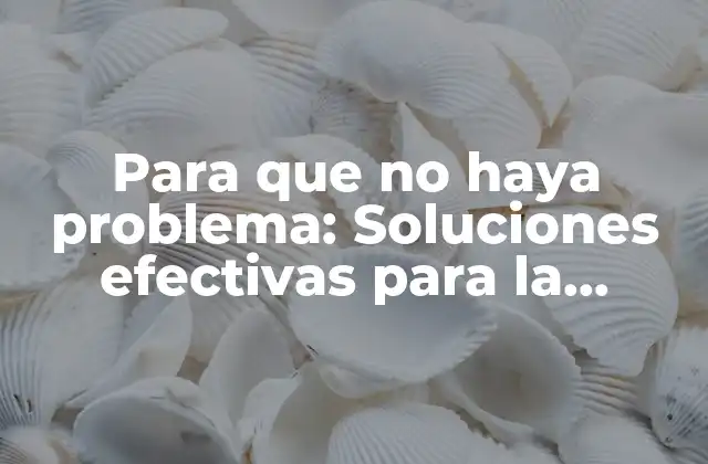 Para que No Haya Problema: Soluciones Efectivas para la Resolución de Conflictos