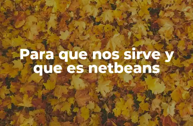 Para que Nos Sirve y que es Netbeans