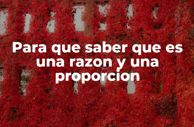 Para que Saber que es una Razon y una Proporcion