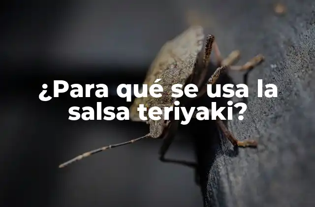 Orígenes y significado de la salsa teriyaki