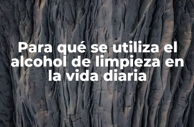 Para Qué Se Utiliza el Alcohol de Limpieza en la Vida Diaria