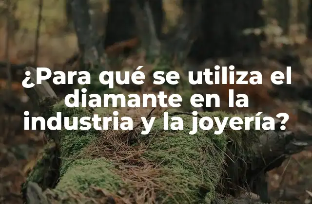 ¿para Qué Se Utiliza el Diamante en la Industria y la Joyería?