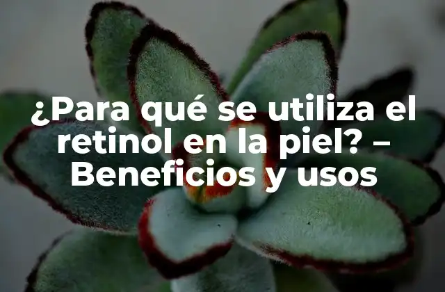 ¿para Qué Se Utiliza el Retinol en la Piel? – Beneficios y Usos