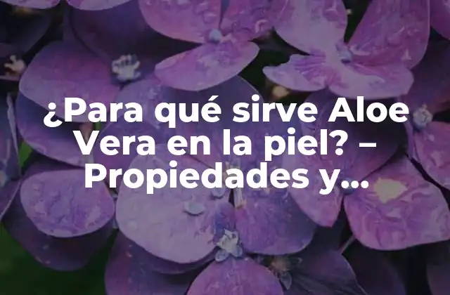 ¿para Qué Sirve Aloe Vera en la Piel? – Propiedades y Beneficios