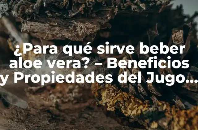 ¿para Qué Sirve Beber Aloe Vera? – Beneficios y Propiedades Del Jugo de Aloe Vera