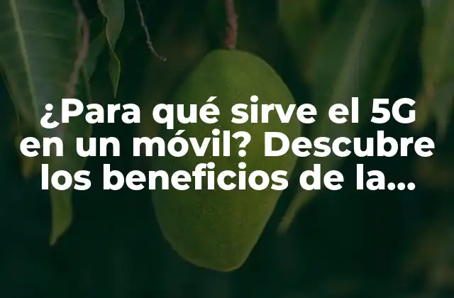 ¿para Qué Sirve el 5g en un Móvil? Descubre los Beneficios de la Quinta Generación de Redes Móviles