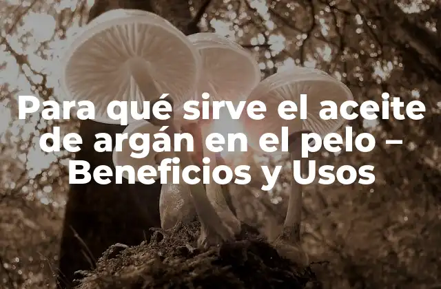 Para Qué Sirve el Aceite de Argán en el Pelo – Beneficios y Usos