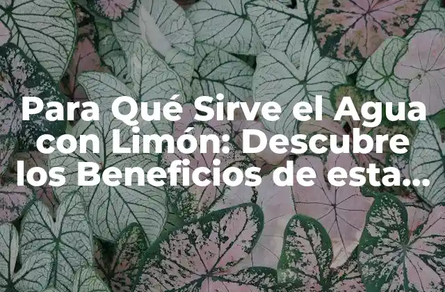 Para Qué Sirve el Agua con Limón: Descubre los Beneficios de Esta Bebida Natural