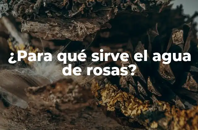 ¿para Qué Sirve el Agua de Rosas? 2 Propiedades del agua de rosas