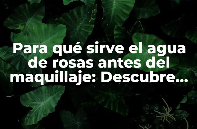 Para Qué Sirve el Agua de Rosas Antes Del Maquillaje: Descubre los Beneficios de Esta Práctica Natural