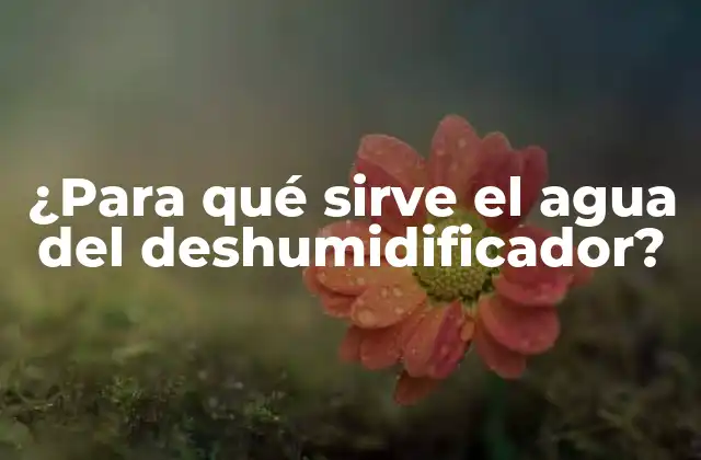 ¿para Qué Sirve el Agua Del Deshumidificador?