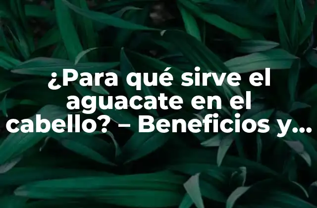 ¿para Qué Sirve el Aguacate en el Cabello? – Beneficios y Usos Del Aguacate para el Cuidado Capilar