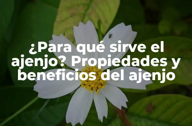 ¿para Qué Sirve el Ajenjo? Propiedades y Beneficios Del Ajenjo