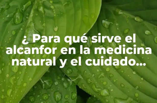 ¿ para Qué Sirve el Alcanfor en la Medicina Natural y el Cuidado Personal?