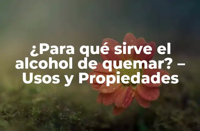¿para Qué Sirve el Alcohol de Quemar? – Usos y Propiedades