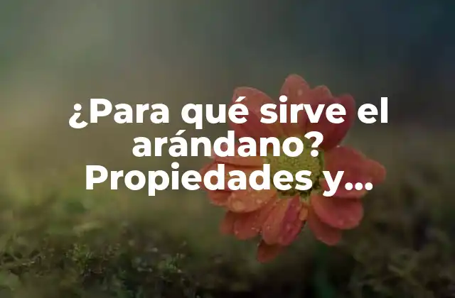 ¿para Qué Sirve el Arándano? Propiedades y Beneficios Del Fruto Rojo