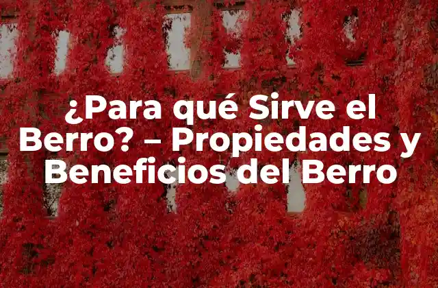 ¿para Qué Sirve el Berro? – Propiedades y Beneficios Del Berro