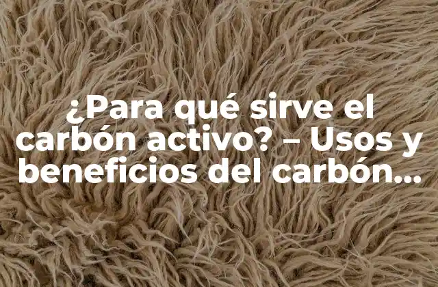 ¿para Qué Sirve el Carbón Activo? – Usos y Beneficios Del Carbón Activo