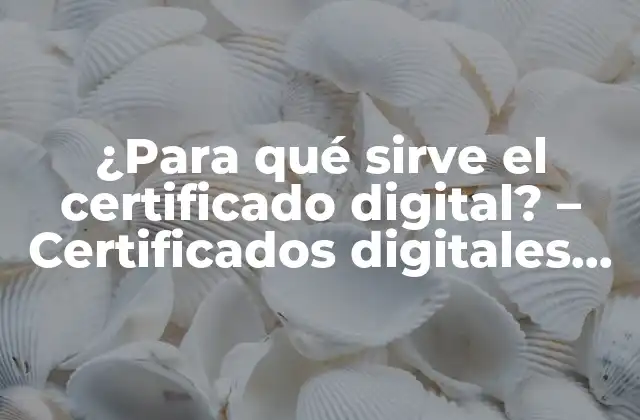 ¿Qué es un certificado digital?