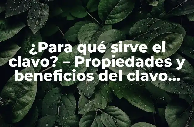 ¿para Qué Sirve el Clavo? – Propiedades y Beneficios Del Clavo para la Salud