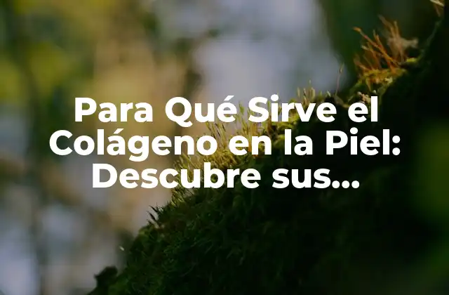 Para Qué Sirve el Colágeno en la Piel: Descubre Sus Beneficios