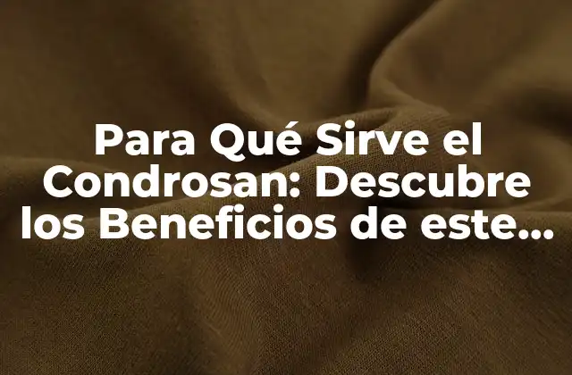 Para Qué Sirve el Condrosan: Descubre los Beneficios de Este Suplemento