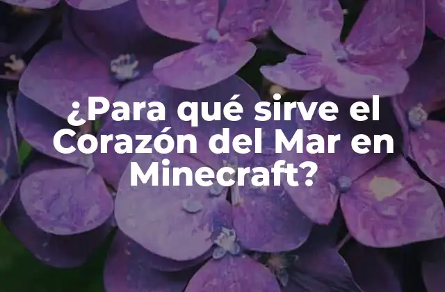 ¿Qué es el Corazón del Mar en Minecraft?